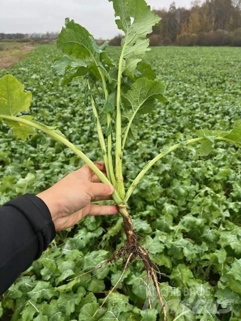Väderstad Topdown500 Cultivators