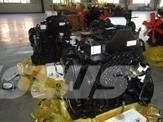 Cummins 4BTA3.9-C110 Engines