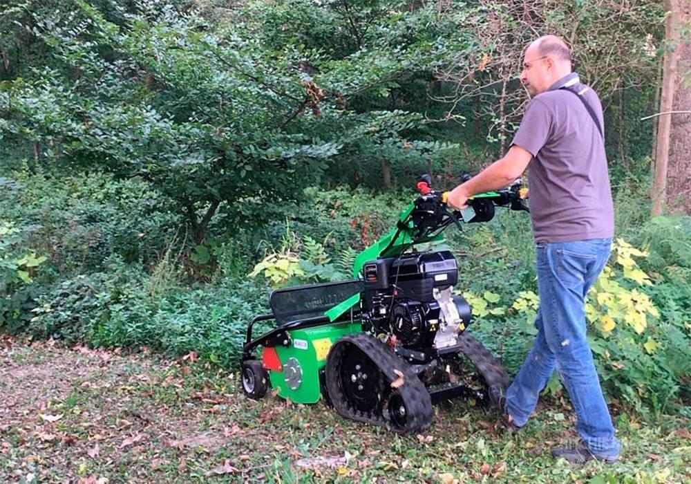 Peruzzo Motofrog 75 Hedge cutters