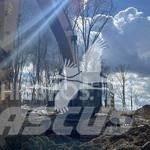 CAT 349EL Crawler excavators