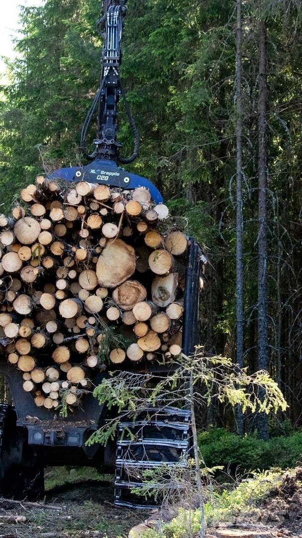  XL Grapple 028 STD Grapples