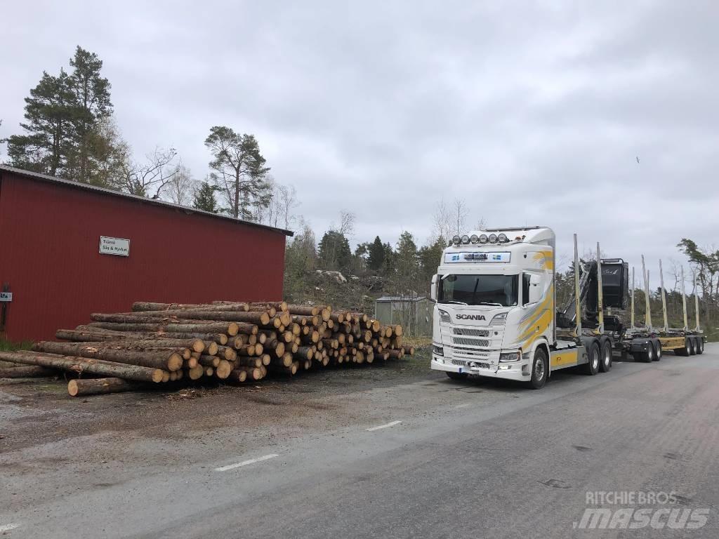 Scania R 650 Timber trucks