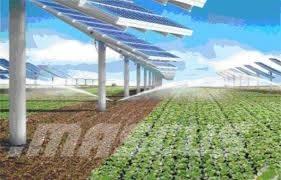 Massenza MI 25   F Waterwell drill rigs