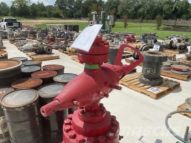  Gate Valve Other