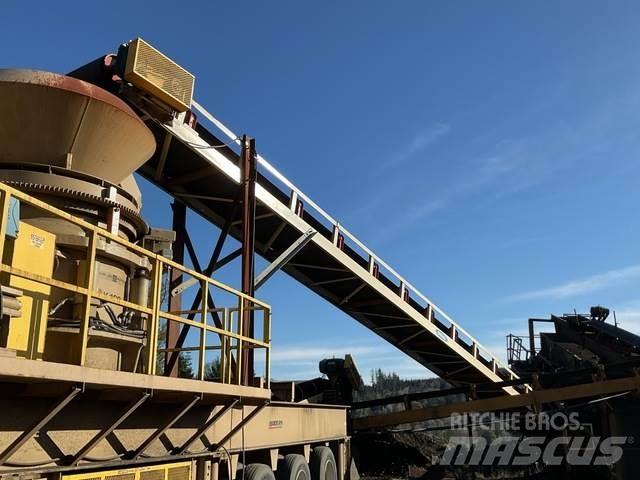  Reesco 36X60 Conveyors
