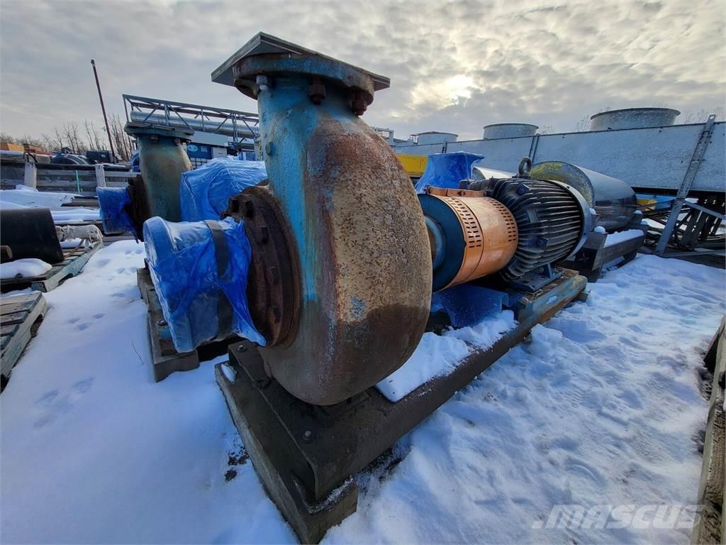  GOULDS 3196 Waterpumps