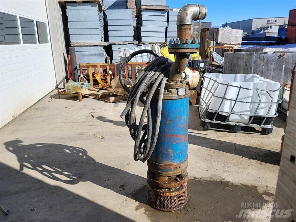 Tsurumi LH322W Waterpumps