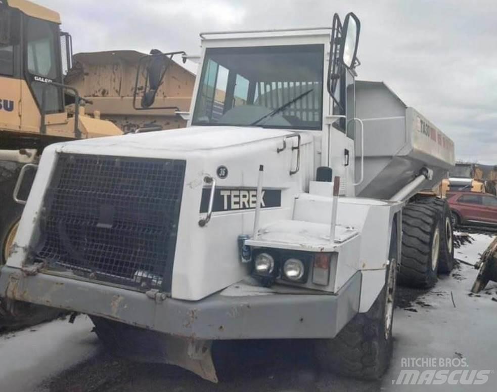 Terex TA30 Panel vans