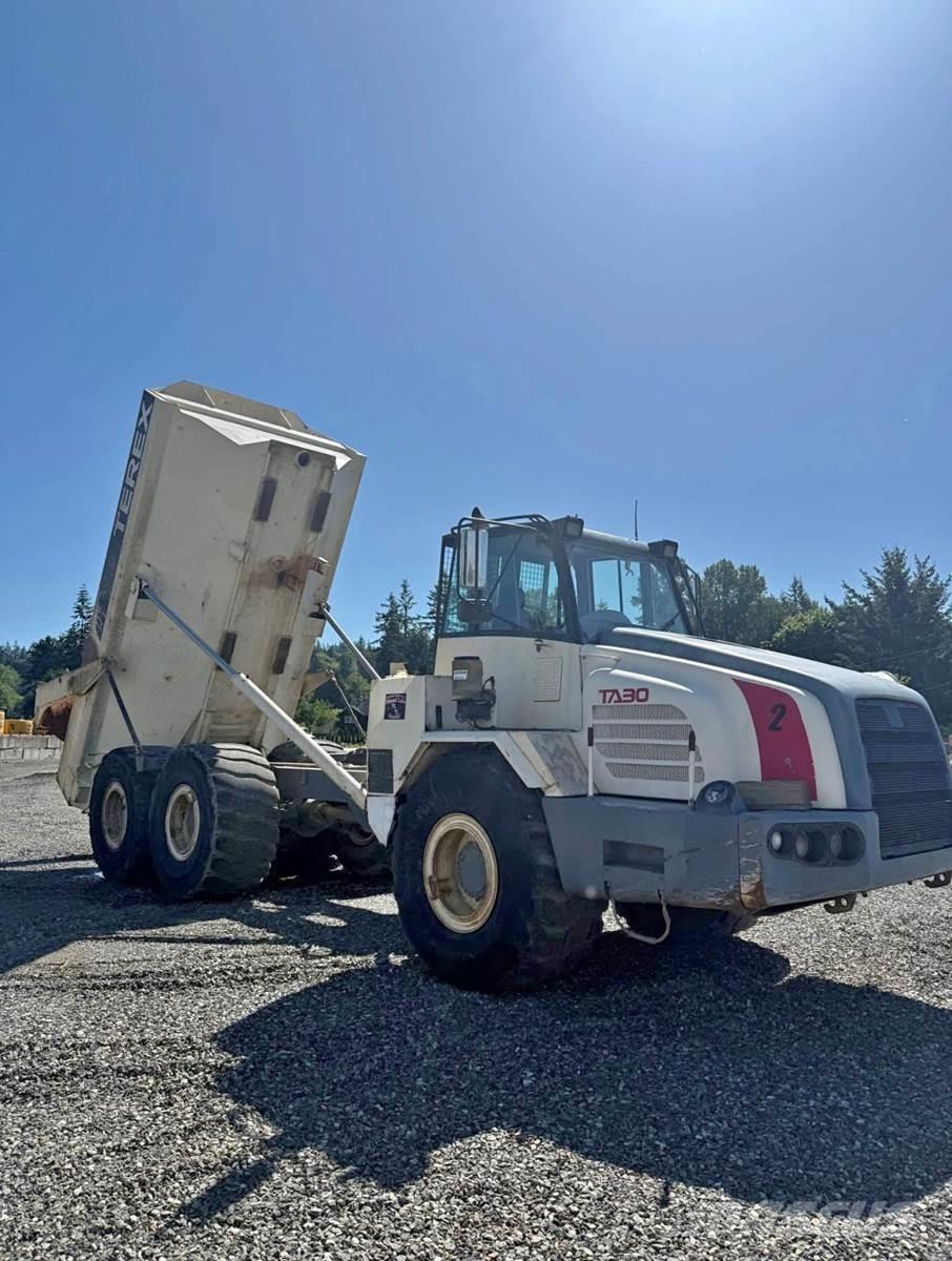 Terex TA30 Panel vans