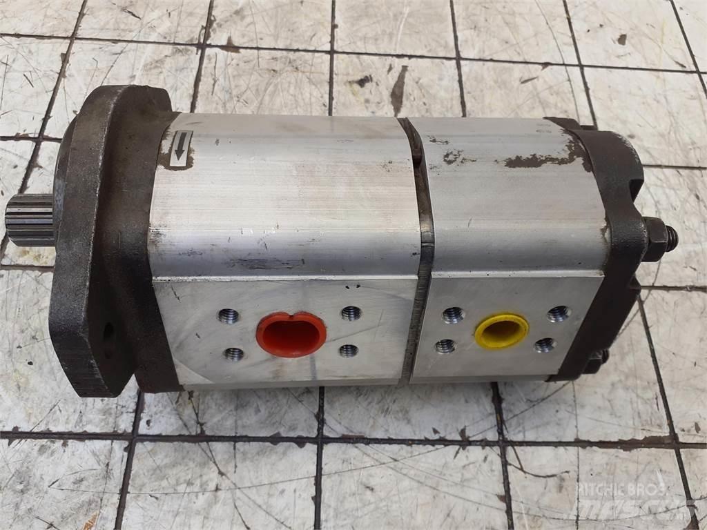  CT2 Dual gear pump Crane parts and equipment
